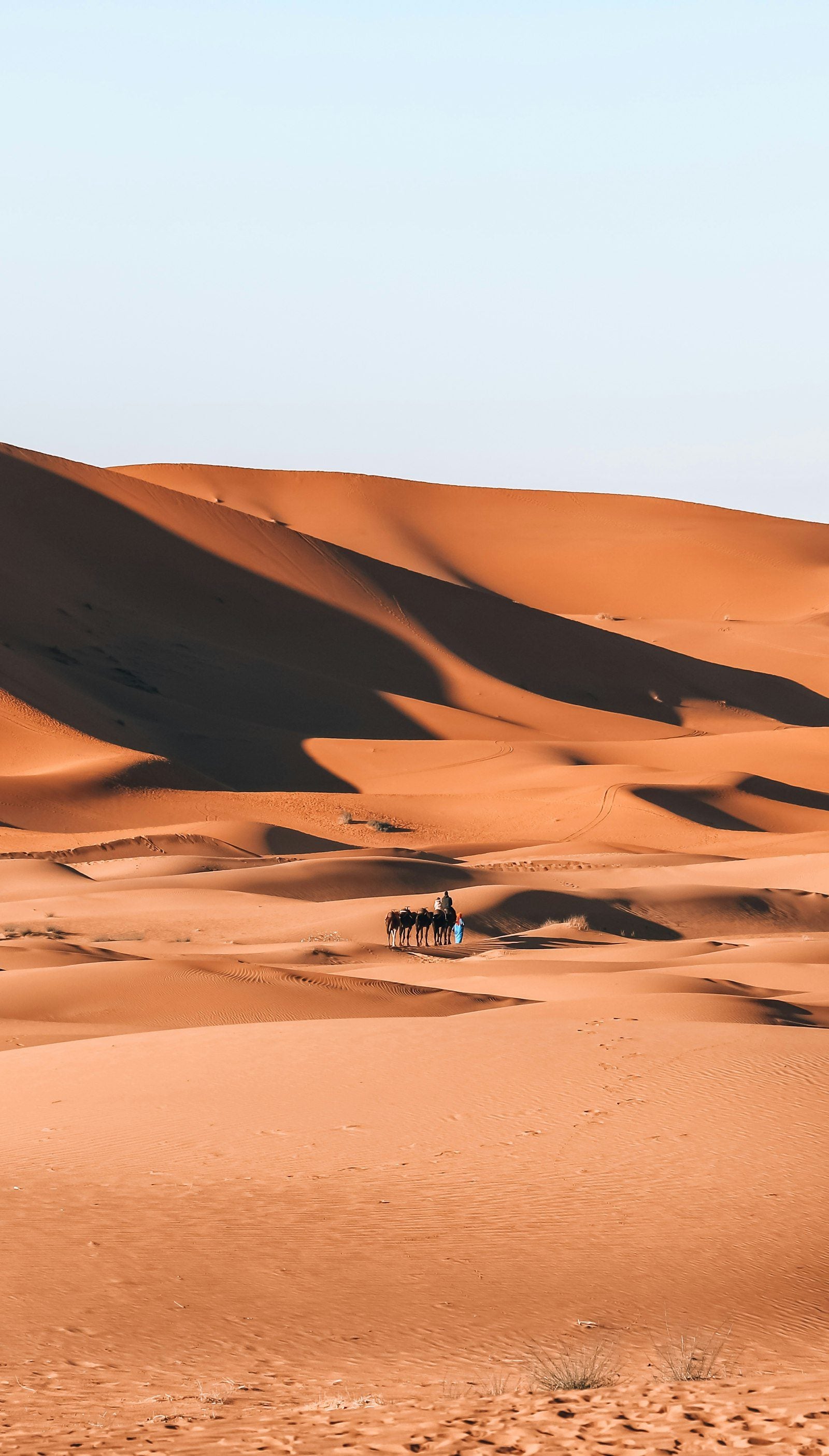 Tour du Sud — Sahara · Draâ · Kasbahs