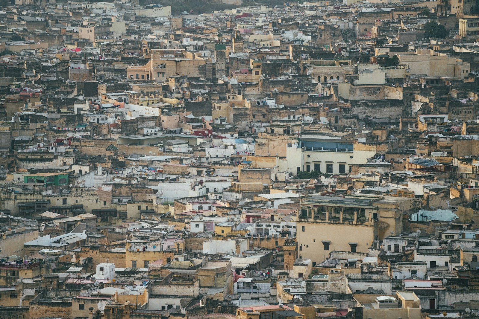 Bab Bou Jeloud à Fès